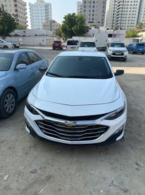 2019 Malibu American