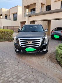 American 2016 Cadillac Escalade