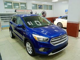 American 2019 Ford Escape