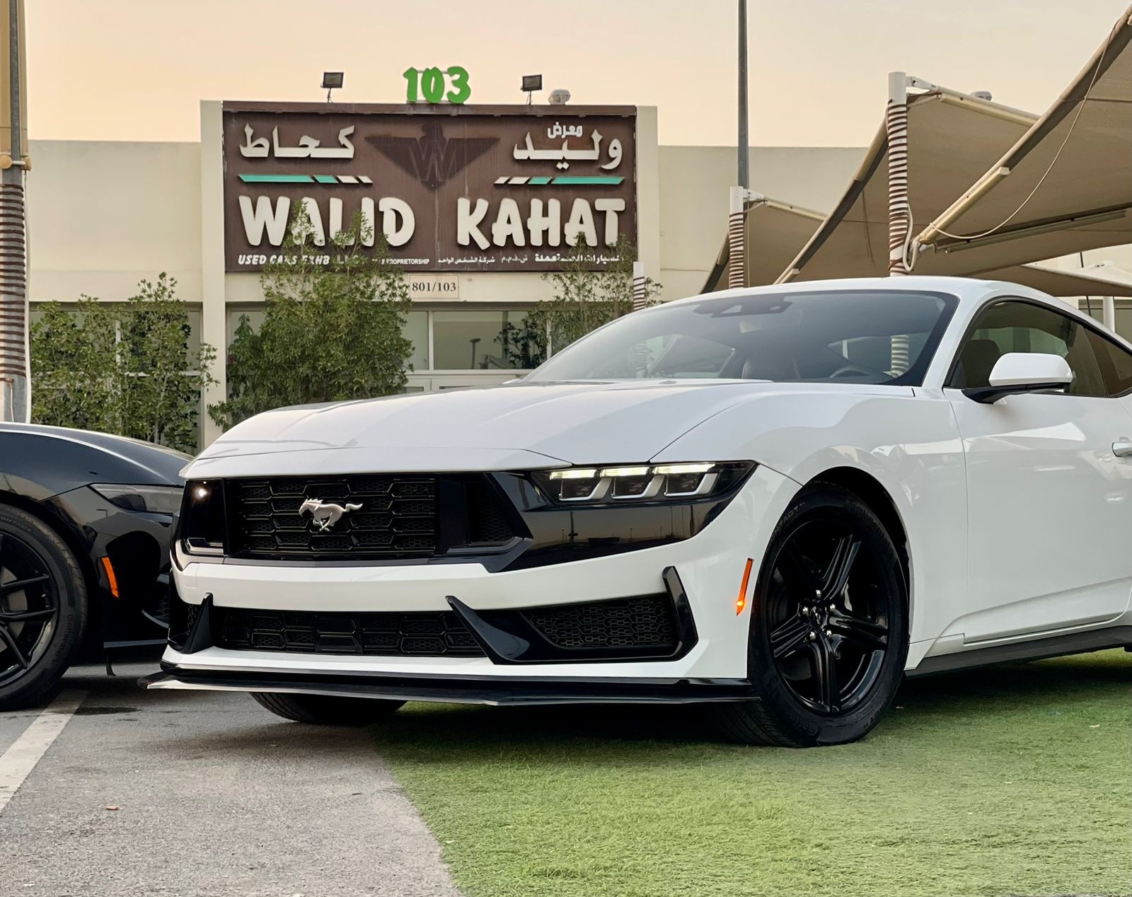 For sale in Al Nahda (Dubai), Dubai 2024 Mustang